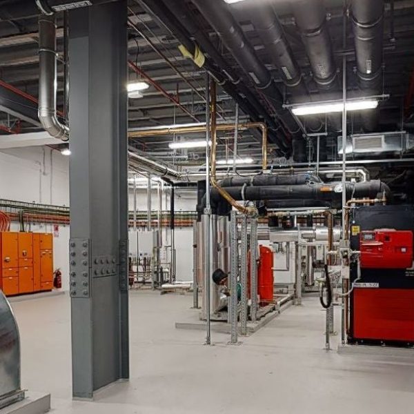 te-pae-scan-boiler
